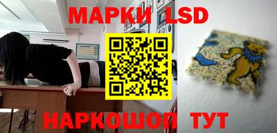 гидропоника Гусев