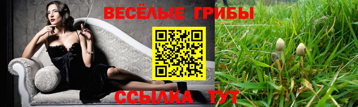Псилоцибиновые грибы Psilocybine cubensis Мытищи