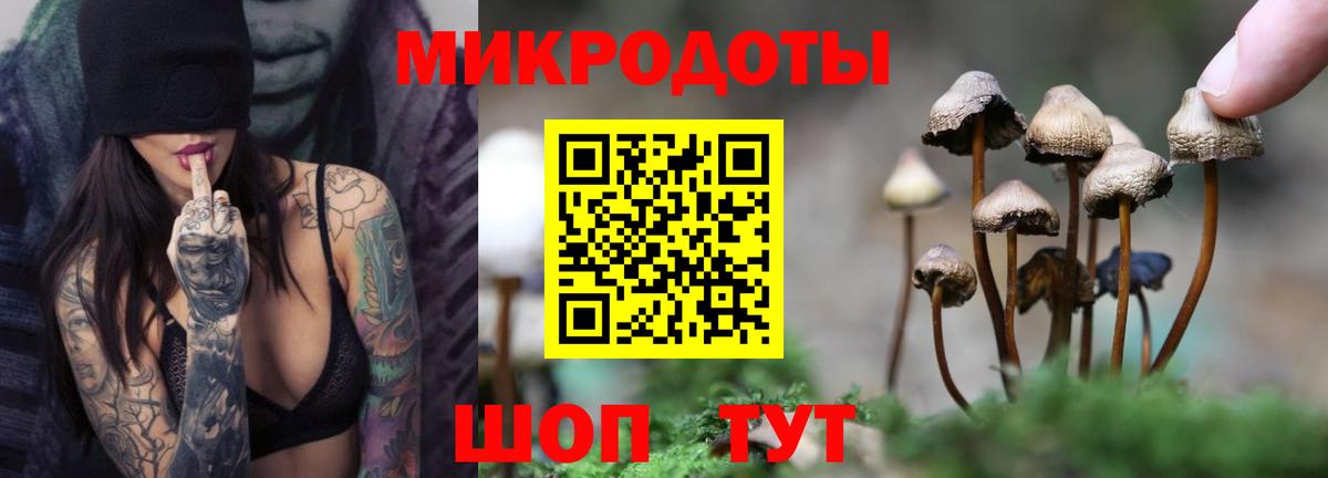 Псилоцибиновые грибы мицелий  Вход с VPN  Мытищи 